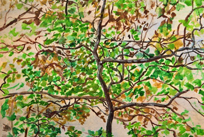 Herbstbaum