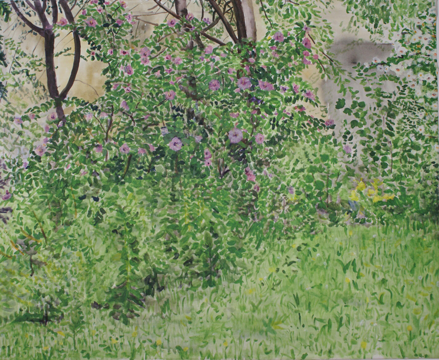 Sommerblumen